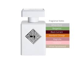 MUSK THERAPY 90ML